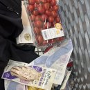 윤성파크 | 비발디파크 눈밭에서