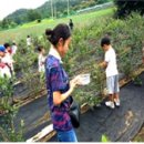 인당마을협동조합 이미지