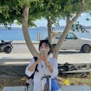 정든약국 | 10월그리스여행 | Day5 정든 밀로스 떠나 산토리니로, 피라마을도착, 피라마을 중국집추천