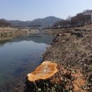 버드모아 이미지