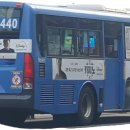 대성운수 이미지