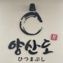 대치4-103 | 양산도 대치점 방문기 | 선릉역맛집으로 추천하는 부타동·테이쇼쿠 첫 경험