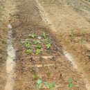 이순농장 이미지