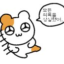 김프로정육식당 이미지
