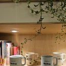 반나절 프리랜서 루틴, 홍대 커피맛집 헤이키커피 홍대연남점 단골 후기 🌿