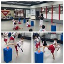 STS한국체대태권도 이미지