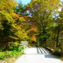 상대농장 이미지