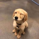 남여수현대서비스주식회사 | [ FEBRUARY DUMP ] 2월의 일상기록.