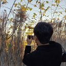 거시기꼬막식당 | 가을 순천 1박2일 여행 후기(거시기식당 송치마을 맛집 추천)