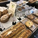 빵굽빵굿 이미지