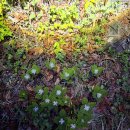 남파랑길6-14(66코스+65코스) 이미지