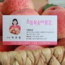 으뜸 복숭아 풍경 이미지