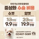 행복튼튼동물병원 네이버블로그