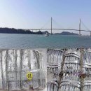 015-조리-015 이미지