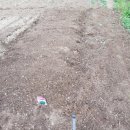 가좌농장 이미지