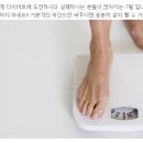 이브올루션 이미지