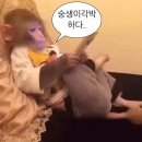 10원 벌고 52737원 쓰는 1월 일상
