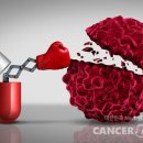 간암 치료 표적 항암제 이미지