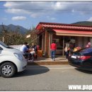 파파스팜 이미지