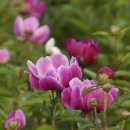 함박공원 입구 이미지