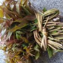 구미대로-26 이미지