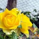 아슬라 스테이 이미지