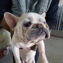 용죽1로 이미지