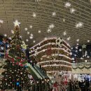 소망의친구들도서관 | [서울/삼성동] 코엑스 별마당 도서관 크리스마스 트리 방문 후기 | 주차 요금 폭탄 피하는 법 &amp; 인생샷...