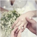 늑대와여우결혼정보 이미지