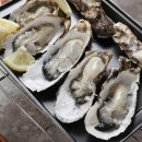 푸릇푸릇 이미지