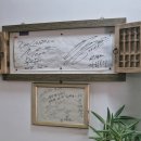 생생울산참가자미 | 울산 삼산 횟집 맛집 정자참가자미｜여름 별미 물회 제대로 즐긴 후기