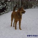 용순농장 이미지