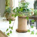 유남경 패션갤러리 이미지