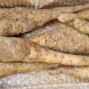 혜성농장 이미지