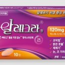 알레그라 이미지