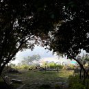 문이농장 이미지