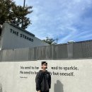 스투시 비치쉘 블랙 후기, 실물사진, 사이즈 팁, 코디