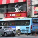 대도공영(마을버스) 이미지