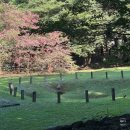 고부초등학교 | 四字成語 총정리 332 (고봉유맥~고부향교)