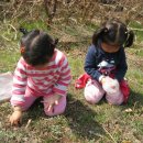 건강하소 이미지