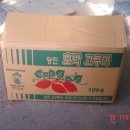 비둘기농원