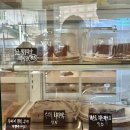 카페소그노 | 행당동 조용한 카페 추천 '카페 소그노'