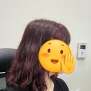 로즈헤어커커 - 임실군 봉황로 170-1 | [양주 미용실 추천] 이철헤어커커 양주점. 옥정1등미용실 할만합니다!! 깨끗함1등 친절함1등..!! 어려운...