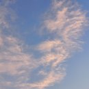 한재로타리 이미지