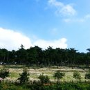 백화쉼터 이미지