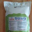 소다개 | <탄산소다 사용후기>: 쉰내제거/누런얼룩제거/빨래비교사진 [내돈내산 EP72]