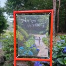 구례가볼만한곳 구례수목원 산수국 수국예쁜곳 수국명소 수국키우기 수국축제