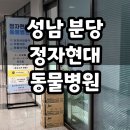 정자현대동물병원 | 정자현대동물병원, 동물약국 방문기
