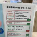 수내역 코앤코김규식이비인후과 진료 후기 및 수액 가격