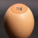 신문 이미지